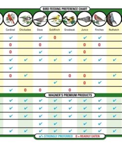 Wagner's 76029 Black Oil Sunflower Seed Wild Bird Food, 40-Pound Bag 22 71b1VQhx QL