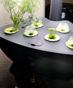 AeroGarden Classic 6 with Gourmet Herb Seed Pod Kit 55 71b2ZY4SoeL