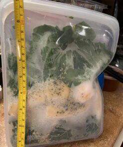 Stasher Reusable Silicone Storage Bag, Food Storage Container, Microwave and Dishwasher Safe, Leak-free, 1/2 Gallon, Clear 53 71b53sgboCL