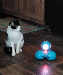 Wonder Workshop Dash – Coding Robot for Kids 6+ – Voice Activated – Navigates Objects – 5 Free Programming STEM Apps – Creating Confident Digital Citizens , Blue 33 71b7VWFX8VL