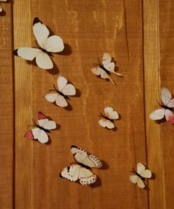 Amaonm® 60 Pcs 5 Packages Beautiful 3D Butterfly Wall Decals Removable DIY Home Decorations Art Decor Wall Stickers & Murals for Babys Bedroom Tv Background Living Room (White2) White2 32 71b7fyh4YHL