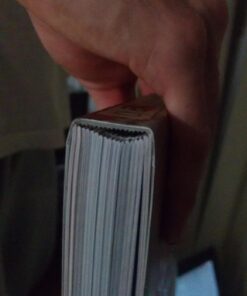 Okami Official Complete Works 17 71b7rfYihUL