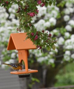 Songbird Essentials SERUBFJF Fruit and Jelly Oriole Feeder (Set of 1) 41 71b7vY7nRKL
