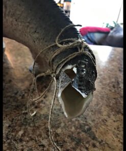 Craft Wrap Plaster Cloth - Plaster of Paris - Belly Casting Kit Pregnancy - Plaster (1 Pack, 4'' X 180'') - Plaster Bandages for Craft Projects & Art - Plaster Strips - Paper Mache for Masks, Scenery Single Pack 26 71b97vd6xiL