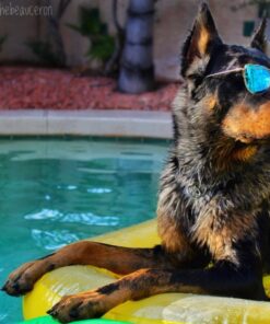 VICKEA Inflatable Pool Floats for Kids and Adults, Large Water Inflatable Pineapple Pool Float for Swimming Pool 38 71b9uqXNvvL