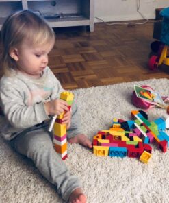 LEGO DUPLO My First Bricks 10848 Colorful Toys Building Kit for Toddler Play and Pretend Play (80 Pieces) 22 71bCaOZx9rL