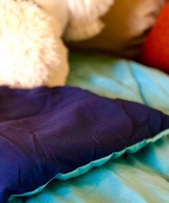 Amazon Basics Reversible Lightweight Microfiber Comforter Blanket, Twin/Twin XL, Navy/Sky Blue Navy / Sky Blue 1-Pack 24 71bE9BhRffL