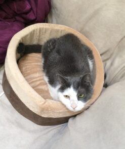 K&H Pet Products Thermo-Kitty Bed Heated Cat Bed Small 16 Inches Mocha/Tan 16.0"L x 16.0"W x 6.0"Th Retail Package 38 71bFdhIOgiL