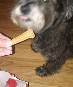 Milk-Bone Brushing Chews Daily Dental Dog Treats, Mini, 56 Count 56 Count (Pack of 1) Daily Dental Treats 18 71bFx4QVrWL