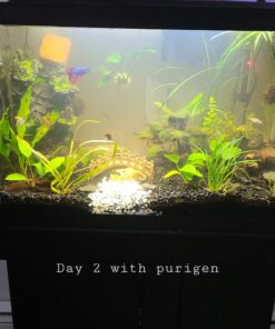 Seachem Indoor Purigen Organic Filtration Resin - Fresh and Saltwater 100 ml 41 71bGDynVGtL