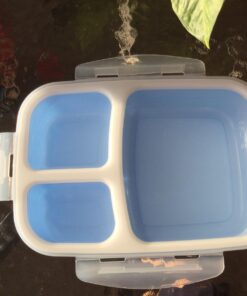 Leakproof, 3 Compartment, Bento Lunch Box, Airtight Food Storage Container (1 Pc) - Blue 71 71bGqmfi5XL