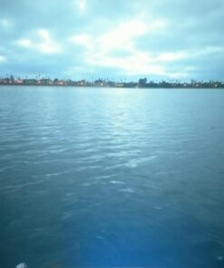 Jiawill 316L Stainless Steel Underwater 1/2" NPT 9 to 30V 27w Boat Drain Plug Light with Internal Driver and Overheat Protection 3 Years Warranty (Blue) Blue 38 71bKeUTkeL