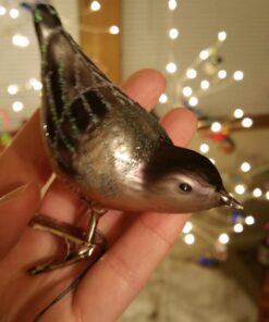 Old World Christmas Ornaments: Nuthatch Glass Blown Ornaments for Christmas Tree 28 71bMWB6JkzL