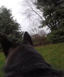 GoPro HERO+ (Wi-Fi Enabled) 41 71bMdyfmdL