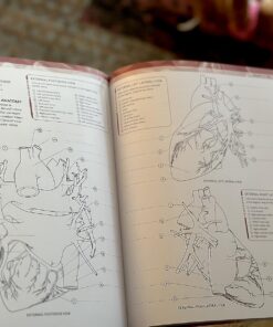 Alternative view of The Human Body Coloring Book: The Ultimate Anatomy Study Guide (DK Human Body Guides) Paperback, Coloring Book