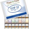 Essential Oil Set 14-10 ml Therapeutic Grade 100% Pure Frankincense, Lavender, Peppermint, Rosemary, Orange, Tea Tree, Eucalyptus, Grapefruit, Lemon, Lime, Clove, Spearmint, Lemongrass, Cinnamon 11 71bOtWUYOnL