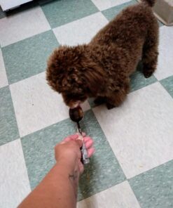 Vetoquinol Nutri-Cal 4.25 Oz - High Calorie Supplement for Cats and Dogs 38 71bR7KKG1 L 1