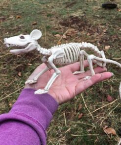 Crazy Bonez Skeleton - Rat Bonez 23 71bR9Iat8fL