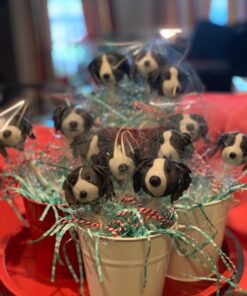 COOLAKE Clear Treat Bags 200 PCS (4" by 6") Cellophane Bag Clear Candy Bags with 200PCS Twist Ties for Wedding Gift Cookie Candy 200PCS 4" by 6" 22 71bRWtetL