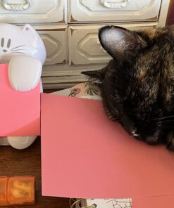 Post-it Pop-up Note Dispenser, Cat design, 3x3 in, 1 Dispenser/Pack (CAT-330) Cat Dispenser 26 71bSm9Z59wL