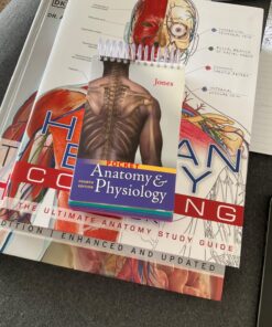 Pocket Anatomy & Physiology Spiral-bound 14 71bT8MohUWL