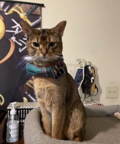 Apple AirTag 42 71bTWI4blcL