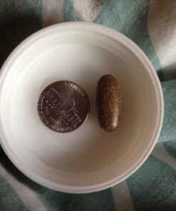 Garden of Life Mykind Organics Prenatal Vegan Whole Food Multivitamin Tablets, Folate not Folic Acid & Stomach Soothing Blend for Women, Peppermint, 180 Count 180 Count (Pack of 1) 37 71bTYWEzzGL