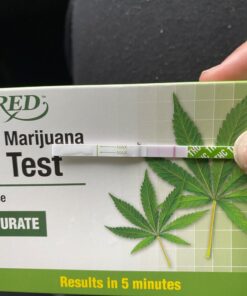 Detoxify Mega Clean Herbal Cleanse – Tropical Flavor – 32 oz – Liquid Detox Drink for Dietary Supplement – Enhanced with Milk Thistle Extract, Ginseng Root & Guarana Seed Extract - Plus Sticker 36 71bVUMj5WQL