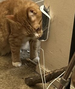 Catit Senses 2.0 Self Grooming Cat Brush and Interactive Cat Toy 23 71bVopHXSyL