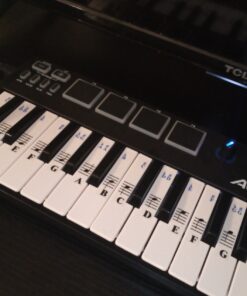 QMG Piano Stickers for 49/61/ 76/88 Key Keyboards – Transparent and Removable; Made in USA Sticker 42 71bZ2wUf3L