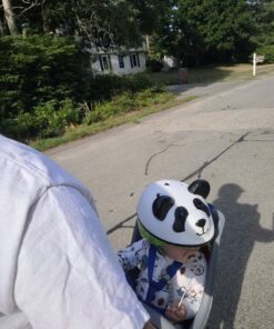 Schwinn Kids Bike Helmet with 3D Character Features, Infant and Toddler Sizes, Up to 5 Years Old, Girls and Boys Suggested Fit 44-52 cm Panda Bear X-Small (44 – 50cm) 23 71bZdO04EXL