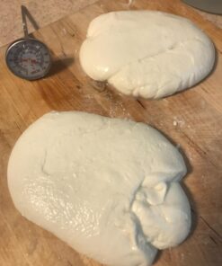 Mozzarella and Ricotta Cheese Making Kit 21 71bZfWpPR L