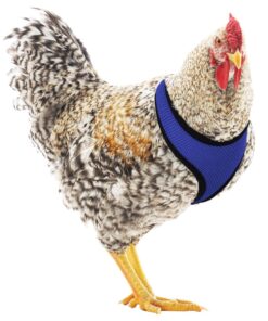 Hamilton Adjustable Rooster Soft Mesh Chicken Harness, Blue, 5/8" x 14"/20"/Medium MEDIUM/ROOSTER 4 71bZr9oyEpL 1