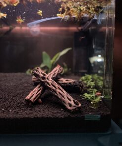 SunGrow Cholla Wood for Shrimps, Dried Husk of Cholla Cactus, Aquarium or Home Decor for Hermit Crabs, Pleco, 3 Pieces per Pack (3 Pieces, 6 inches) 34 71bfmBPaKbL