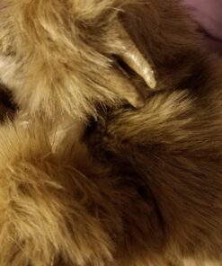 Folkmanis Baby Sloth Hand Puppet Classic 19 71bgUZpNGkL