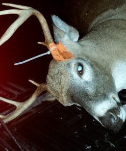 Wildlife Research Center Scrape Active-Scrape Combo 25 71bgzJH5kvL