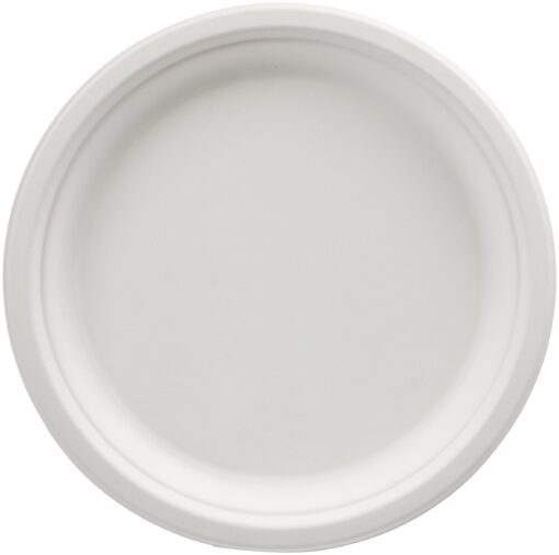 Amazon Basics Compostable Plates, 10-Inch, Pack of 500 500 Plates White