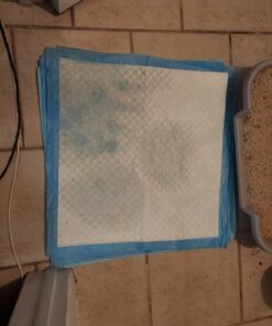 Amazon Basics Dog and Puppy Pee Pads with Leak-Proof Quick-Dry Design for Potty Training, Standard Absorbency, Regular Size, 22 x 22 Inches, Pack of 100, Blue & White Unscented Regular (100 Count) 36 71bjQpTbkL 2