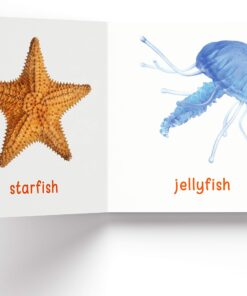 My First Library : Boxset of 10 Board Books for Kids (My First Book of) Board book 53 71bmquJT8PL