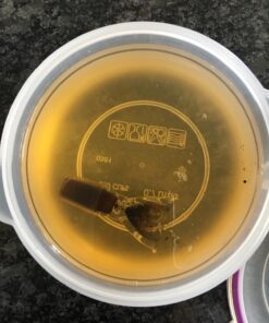 Grunge Off Super Soaker Glass Pipe Cleaner, 16 Ounce (2 Pack) 15 71bprWuy5RL