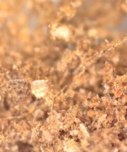 Frontier Co-op Cinnamon Powder, Ceylon, Certified Organic, Kosher, Non-irradiated, Bulk Bag, Sustainably Grown, Cinnamomum Verum J. Presl, Original Version, ,Mildly Sweet and Spicy, 16 Oz 1 Pound (Pack of 1) 24 71br9lLdHIL