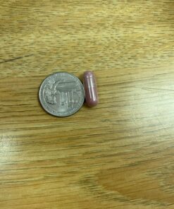 vH essentials Probiotics with Prebiotics and Cranberry Feminine Health Supplement - 120 Capsules (544-36) 120 Count 28 71btFnlSRdL