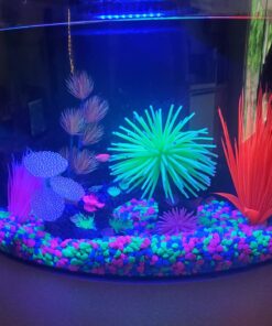 GloFish Aquarium Fish Tank Kits, Includes Fish Tank Decorations and LED Lighting, Tetra Filter and Water Conditioner 5-gallon crescent kit 39 71buLgiGmhL