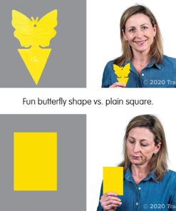 Trappify Sticky Gnat Traps for House Indoor - Yellow Fruit Fly Traps for Indoors/Outdoor Plant - Insect Catcher White Flies, Mosquitos, Fungus Gnat Trap, Flying Insects - Disposable Glue Trapper (12) 12 39 71bv7VYrXnL 1