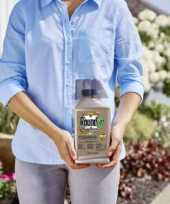 Roundup Concentrate Extended Control Weed & Grass Killer Plus Weed Preventer II Large Concentrate 12 71bvVAJR04L