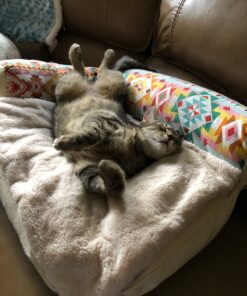 Hartz Just For Cats Midnight Crazies Cat Toy Balls - Assorted, for All Breed Sizes 29 71bvarjku4L