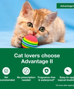 Advantage II Kitten Vet-Recommended Flea Treatment & Prevention | Cats 2-5 lbs. | 2-Month Supply 22 71bwbNvHOvL