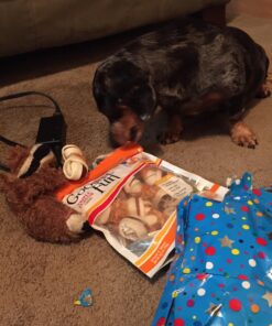 GOOD 'N' FUN Triple Flavor Chews, Rawhide Treats for Dogs 6 Count (Pack of 1) 26 71bwrXAZOZL