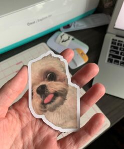 Silhouette Media-Magnet-ADH Adhesive Magnet Paper 11 71bzhTy0goL