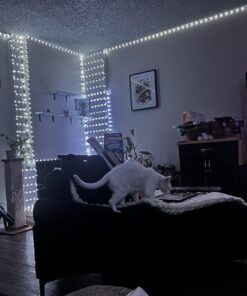 Leeleberd Led Lights for Bedroom 100 ft (2 Rolls of 50ft) Music Sync Color Changing RGB Led Strip Lights with Remote App Control Bluetooth Led Strip, Led Lights for Room Home Kitchen Decor Party 31 71c0RBVML L